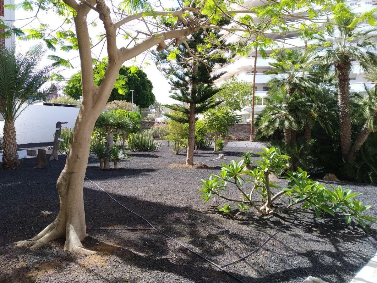 Vina Del Mar Apartment Плая де лас Америкас Екстериор снимка