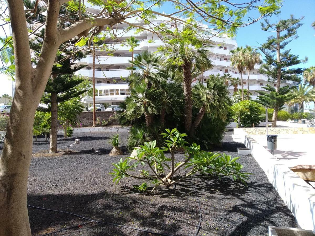 Vina Del Mar Apartment Плая де лас Америкас Екстериор снимка